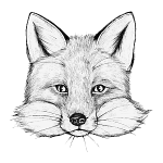 Der Wüstenfuchs Gravur Vektor erstellt von rawpixel.com - de.freepik.com
